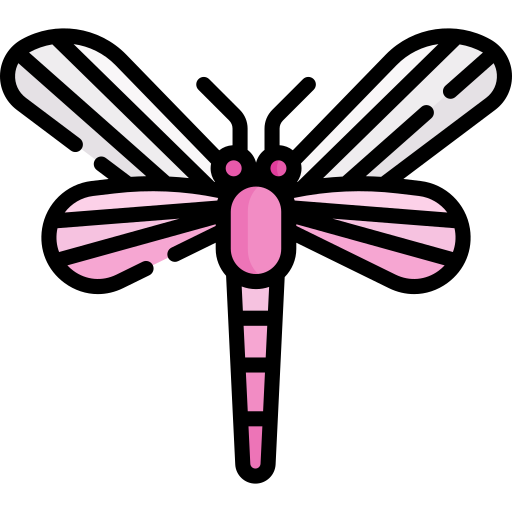 Activity Leader Class